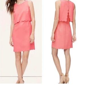 LOFT Scalloped Crop Illusion Dressed